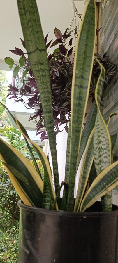 Layang Layang Home El Nido Ngoại thất bức ảnh